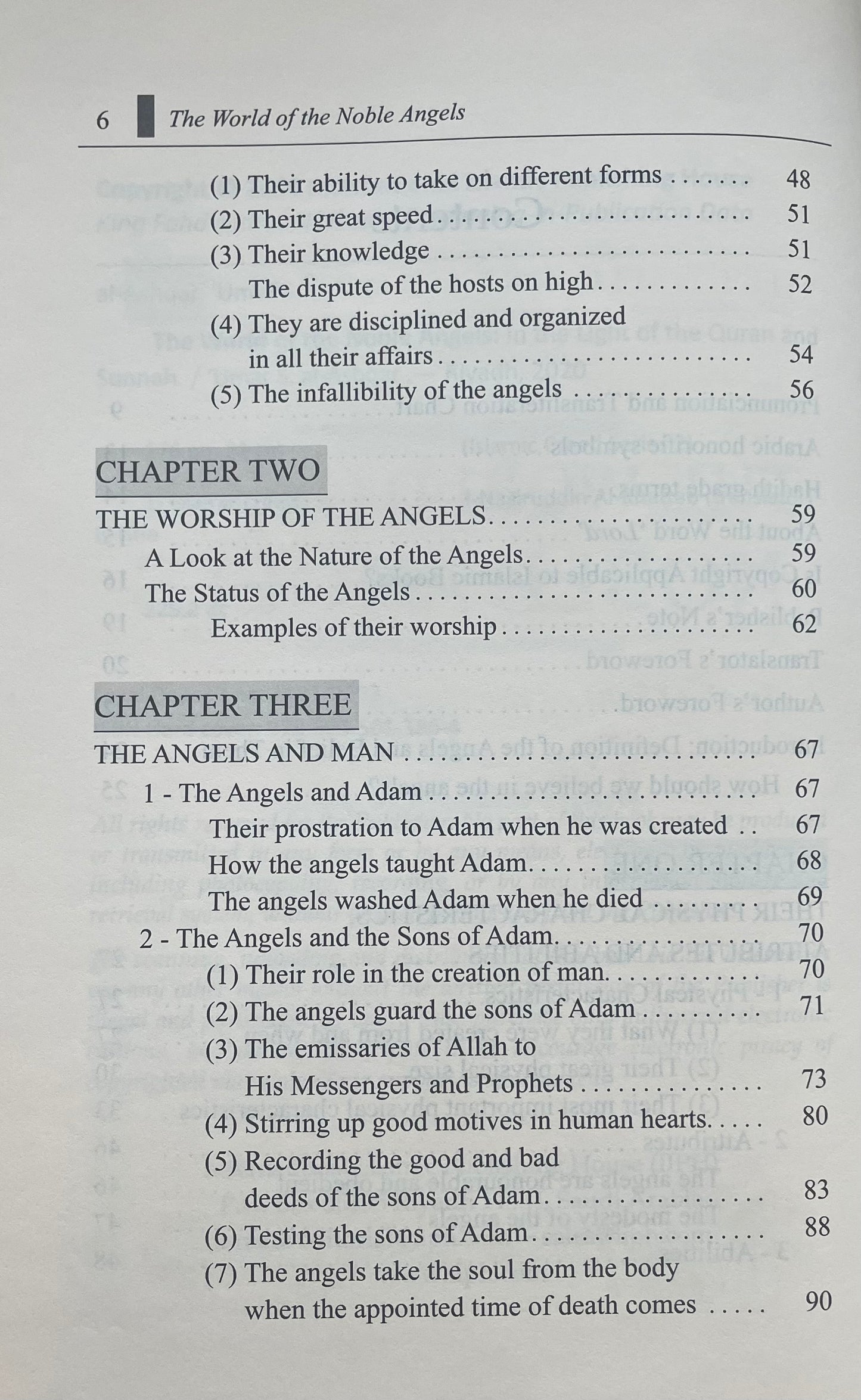 The World of Noble Angels