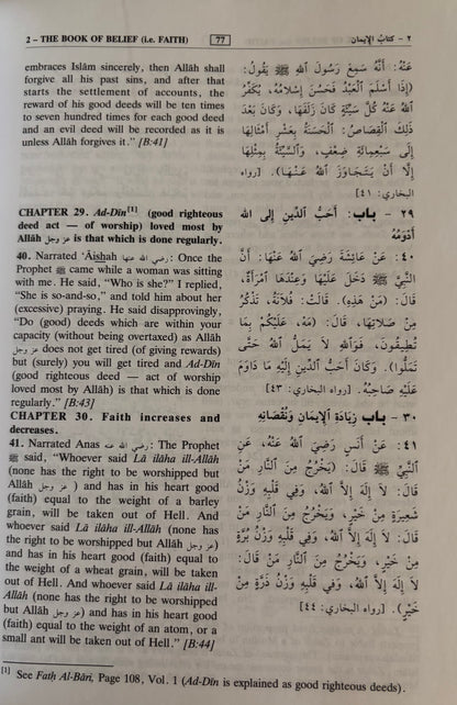 Sahih Bukhari - Summarized (large)